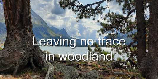 How to leave no trace in woodland