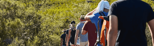 The Longest Trail in the US: Thru-Hiking the Appalachian Trail or Pacific Crest Trail