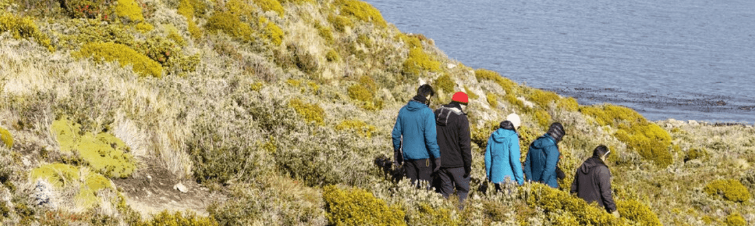 The Unspoken Rules of Hiking in Australia: Trail Etiquette for Every Trekker