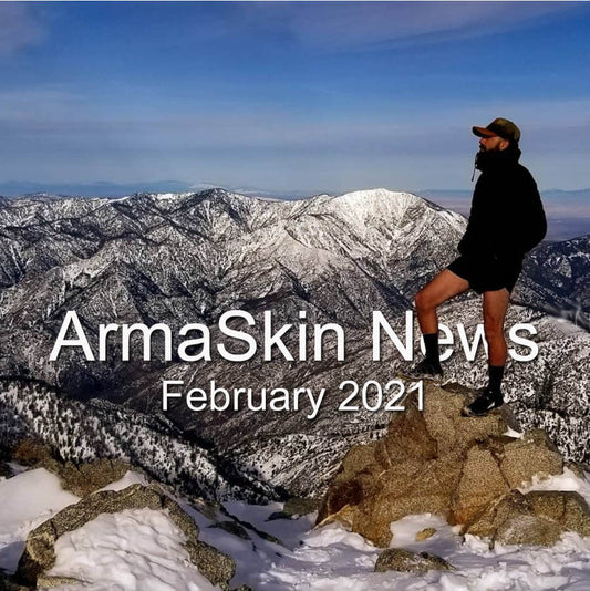 ArmaSkin News  February 2021