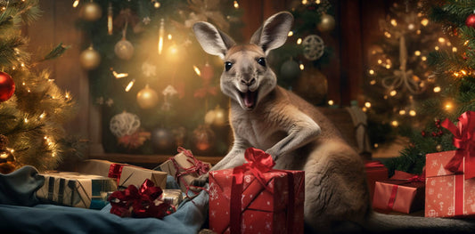 SIX Surprise Gift Ideas for Hikers with an Aussie flavour.