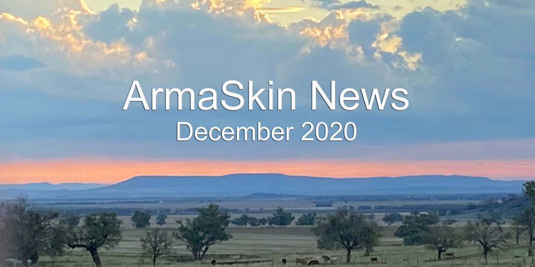 ArmaSkin News December 2020